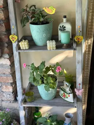 a shelf with three pots of plants on it at Villa Garden in Banja Luka