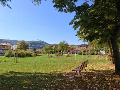 a park bench under a tree in a field at Na korak do Vrbasa - blizu centra in Banja Luka