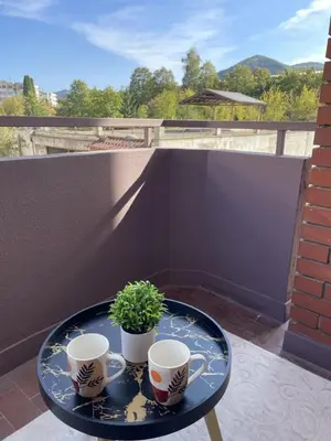 a table with two cups and a potted plant on a balcony at Visoko Centar Apartment in Visoko