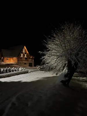 a snow covered tree in front of a house at Villa Alba in Kupres