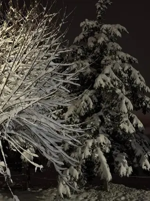 a snow covered christmas tree is covered in snow at Villa Alba in Kupres