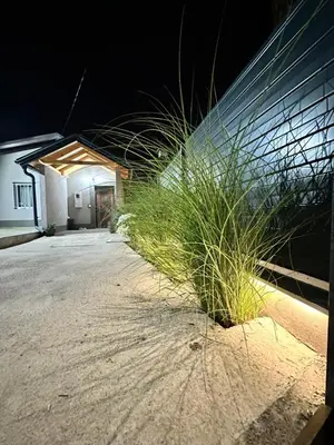 a plant on the side of a building at night at HH Lakes Tuzla - city center, free parking! in Tuzla