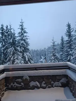 a view of a snow covered forest with trees at Apartman 1001 in Vlasic