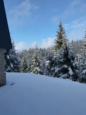 a snow covered yard with trees in the background at Apartman 1001 in Vlasic