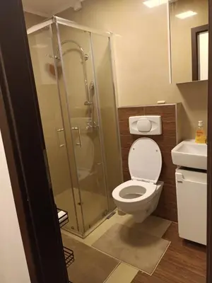 a bathroom with a shower and a toilet and a sink at Apartman 1001 in Vlasic