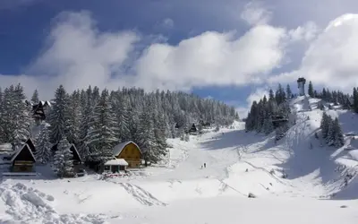 Gallery image of Vikendica - Skromni raj in Vlasic