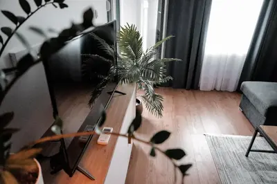 a living room with a table and a plant at Apartman za 5 in Banja Luka