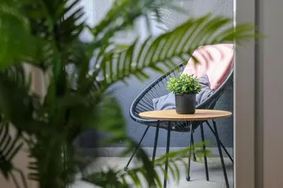 a table with a potted plant on it next to a chair at Apartman za 5 in Banja Luka