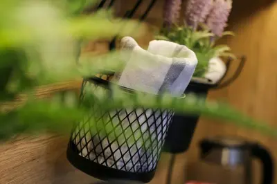 a black blender sitting on a table with plants at Apartman za 5 in Banja Luka
