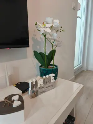 a white flower in a blue vase on a table at Diva apartman, Doboj in Doboj