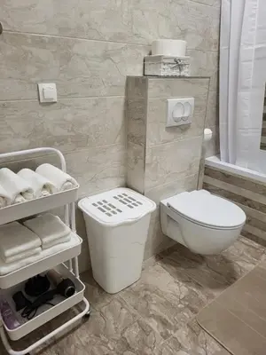a bathroom with a toilet and a sink at Green view apartment in Banja Luka