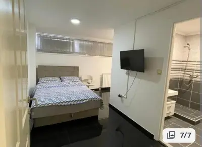 a bedroom with a bed and a tv and a shower at EM Apartments in Tuzla