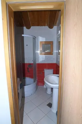 a bathroom with a shower and a toilet and a sink at Ivanović Vikendica