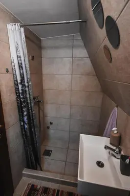 a bathroom with a shower and a sink at Forrest House in Doboj