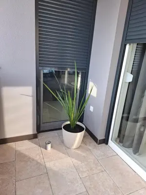 a plant in a pot sitting on a floor next to a window at Apartman Ditka in Bihać