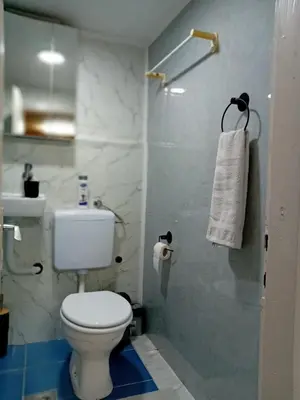 a bathroom with a white toilet and a sink at Gyps Vikendica with Swimming Pool and Sauna in Tuzla