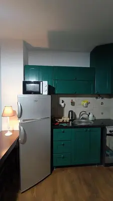 a kitchen with green cabinets and a white refrigerator at Mountain Home