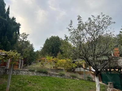 a garden with a stone fence and a tree at Relax House