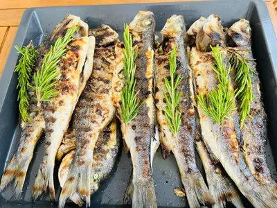 a tray of fish with rosemary on top at Apartman Čeliković in Bosanski Šamac