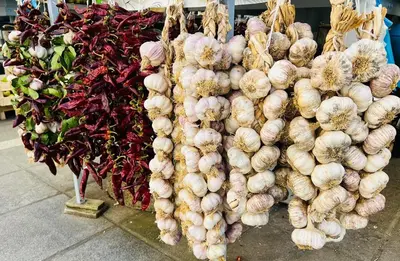 a bunch of onions hanging on a wall at Apartman Čeliković in Bosanski Šamac