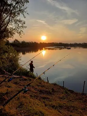 a man standing on the shore of a lake holding a fishing rod at Apartman Čeliković in Bosanski Šamac