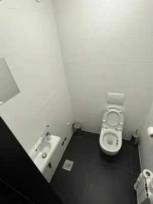 a small bathroom with a toilet and a sink at Villa Bukvic in Zavidovići