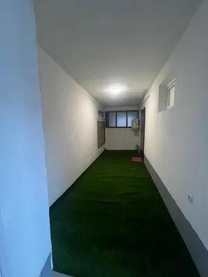 a hallway with a green carpet in a room at Apartman Ćorić in Kiseljak