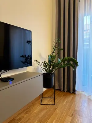 a potted plant sitting on a stand in front of a tv at Urban Suite BL Apartment in Banja Luka