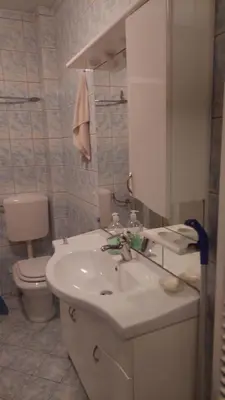 a bathroom with a sink and a toilet at Lux apartman sa garažom in Banja Luka