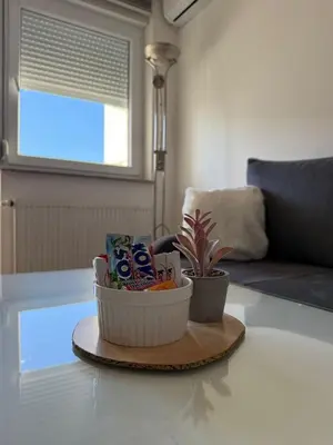 a table with a bowl of snacks and a potted plant at Kutak mira in Doboj