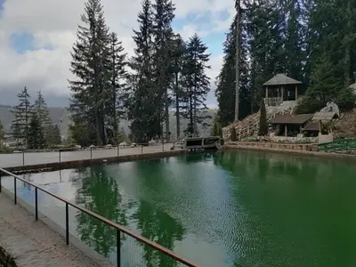 a large pond with green water in front of a building at Apartments EDEN in Vlasic