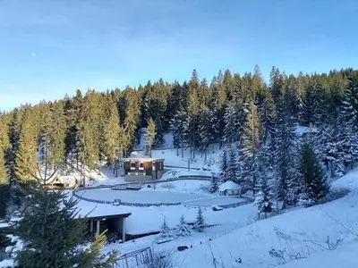 a house in the middle of a snow covered forest at Apartments EDEN in Vlasic