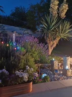 a garden at night with flowers and lights at Apartment M in Livno