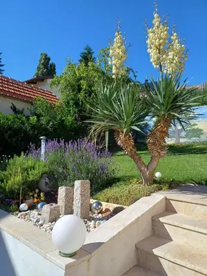 a garden with palm trees and a stone staircase at Apartment M in Livno