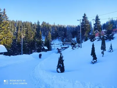 a ski slope covered in snow with trees on it at Vikend kuća Libertas in Šišava