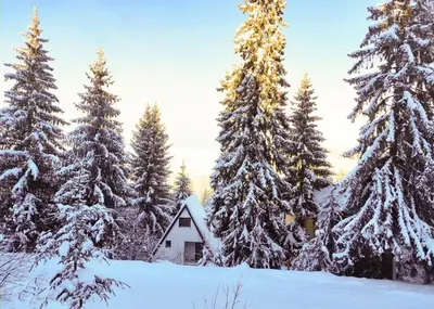 a cabin in a snowy forest with snow covered trees at Vikend kuća Libertas in Šišava