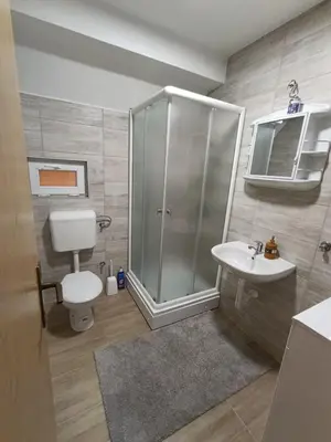 a bathroom with a shower and a toilet and a sink at Divan Vlašić in Šišava