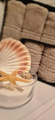 a plate with a shell and a starfish on a table at Livno Sympan in Livno