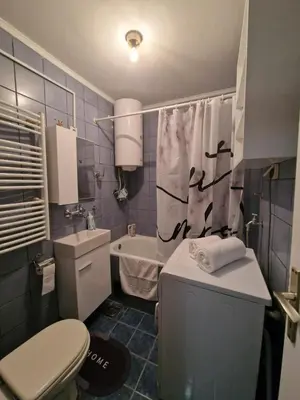 a small bathroom with a toilet and a sink at Apartman Sofija 3 in Starčevica