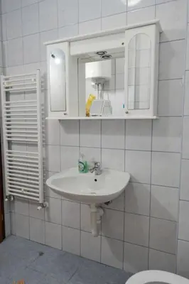 a bathroom with a sink and a mirror and a toilet at Banja Luka Lux in Banja Luka