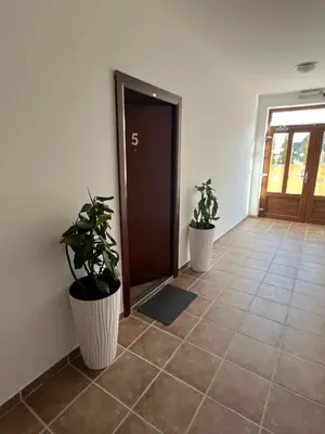 a hallway with two potted plants in front of a door at Aurea Vista in Kupres