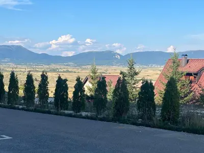 a line of trees in front of a road at Aurea Vista in Kupres