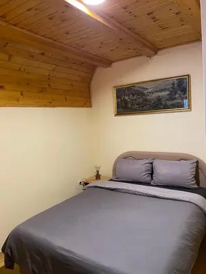a bedroom with a bed in a room with wooden ceilings at Apartments Vlašić Eco in Šišava