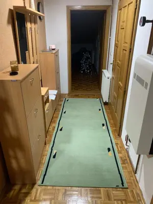 a hallway with a green mat with golf balls on it at Vista Dubica in Bosanska Dubica