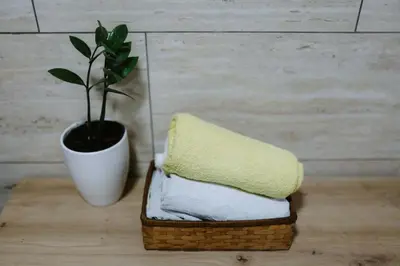 a potted plant sitting next to a basket with a plant at Apartman CENTRAL LOFT Gradiška in Bosanska Gradiška