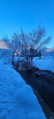 a snow covered field with trees and a river at Golden Spa Villa in Bihać