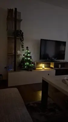 a christmas tree in a living room with a television at Apartman Montis in Kupres