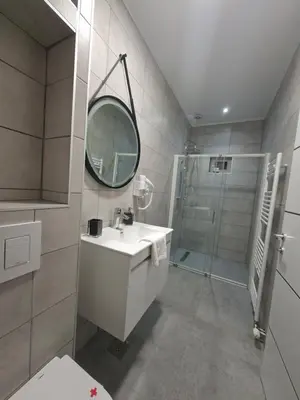 a bathroom with a sink and a mirror and a shower at Pansion Kod Brajlovica in Tuzla