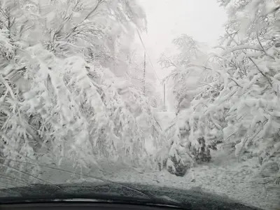 a snow covered windshield of a car with trees at Villa Aria in Bosanska Krupa