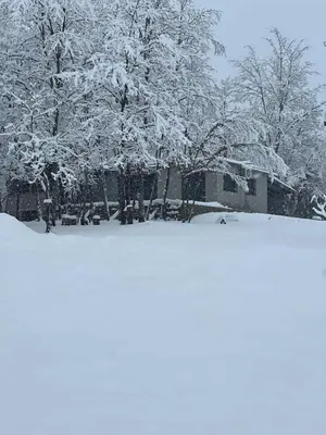 a yard covered in snow with trees in the background at Villa Aria in Bosanska Krupa
